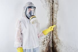 Best Asbestos and Lead Testing During Mold Inspection  in Upper Sandusky, OH